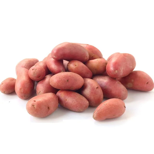 [00000299] Pomme de terre grenaille rouge en filet 1Kg - FILIERE M