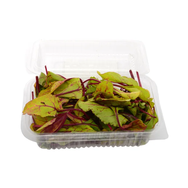 [00000303] Jeune pousse de betterave 100g